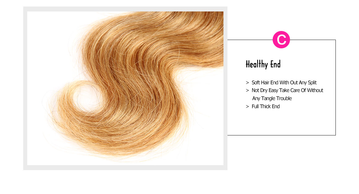 ombre human hair extensions